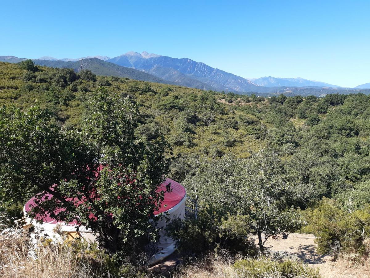 Rigarda Yourte Contemporaine Avec Magnifique Vue Sur Les Montagnes מראה חיצוני תמונה